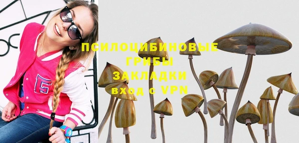 дмт Зеленодольск