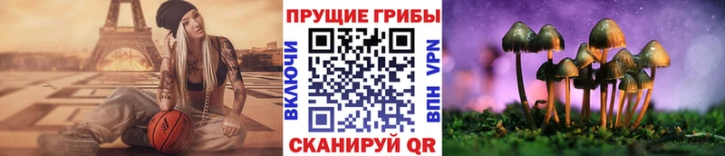 Галлюциногенные грибы прущие грибы  Верхотурье 